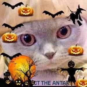 Meet your Posher, Monique